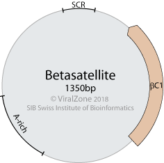 viralzone