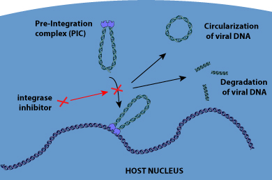 antiretroviral drugs mechanism of action