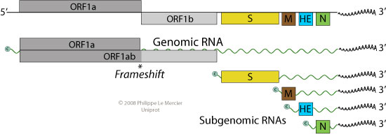 pdf-fusion-transcripts-and-their-genomic-breakpoints-in