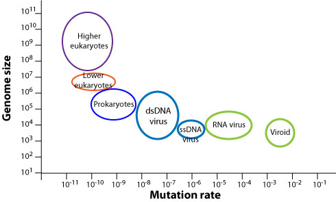 mutation_rates